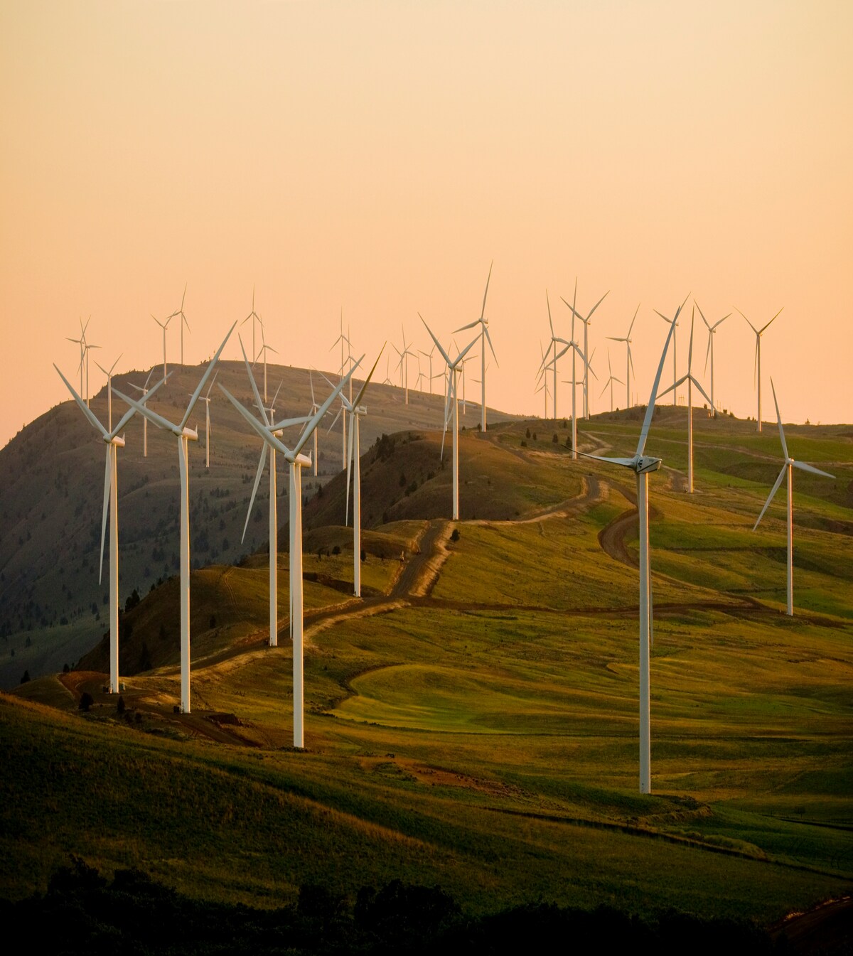 Smart Grid Load Optimization